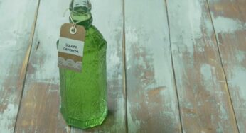 “Fatto in casa per voi”: liquore centerbe di Benedetta Rossi
