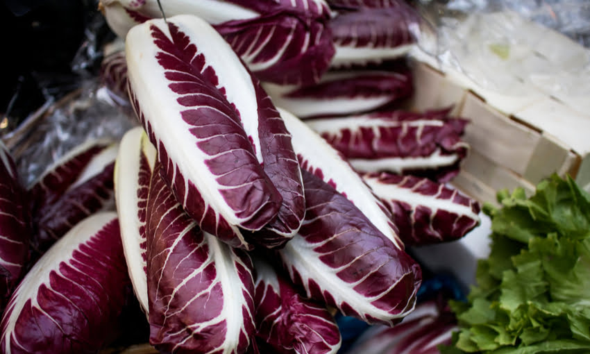 radicchio-febbraio-jpg