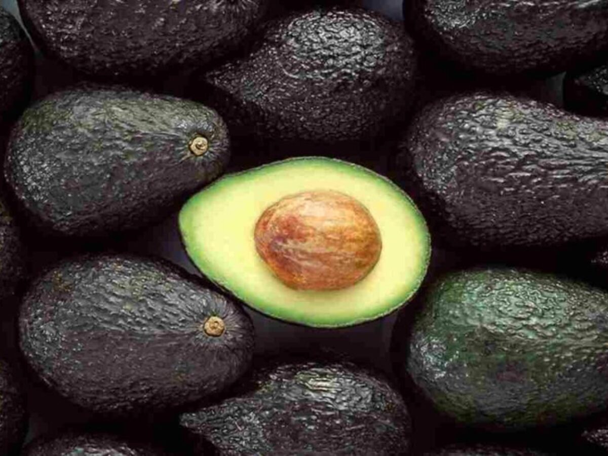 Avocado Come Conservarlo Senza Farlo Diventare Nero Ricettefacili Info
