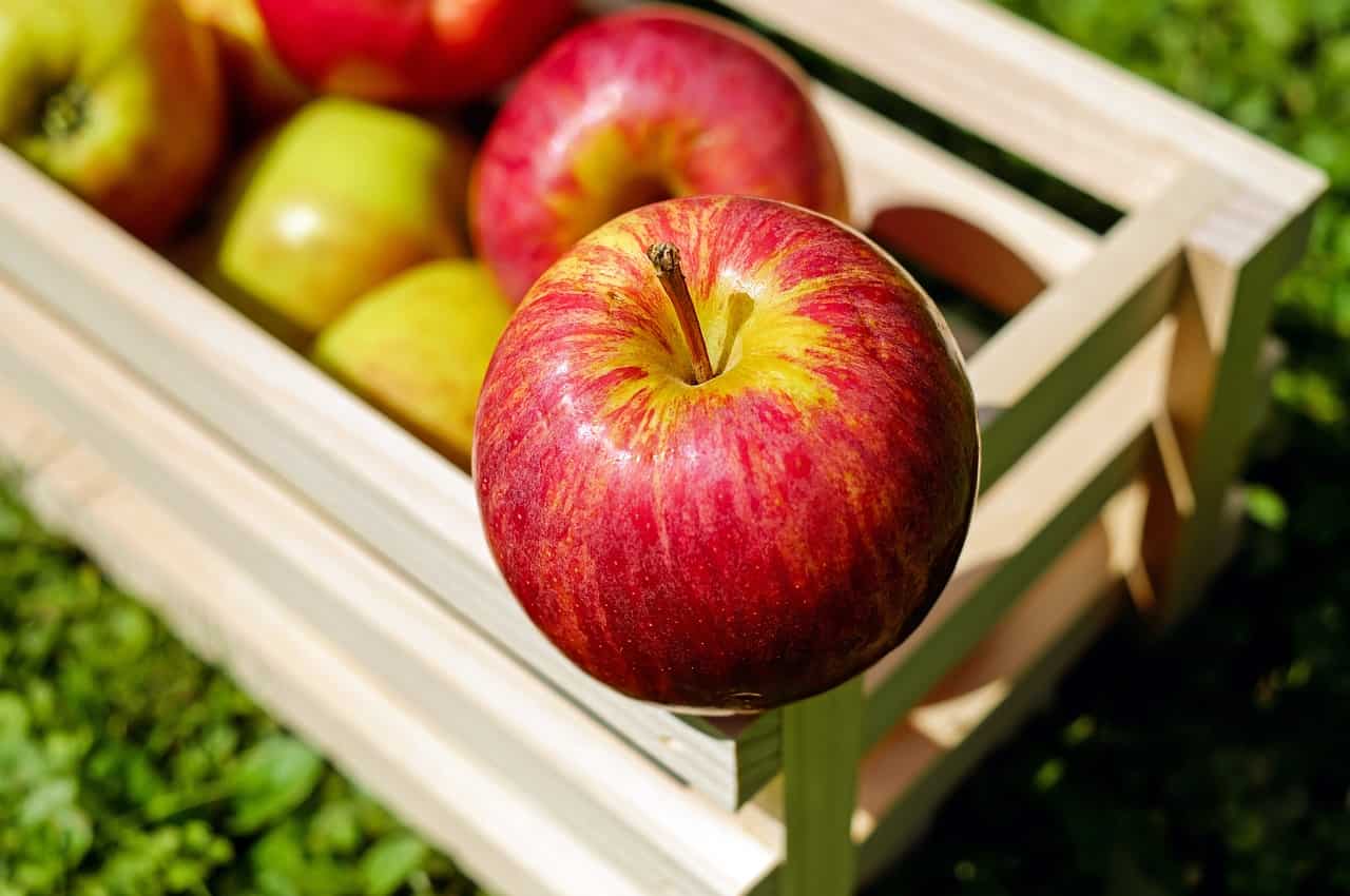 Cosa succede a chi mangia mele colesterolo alto e glicemia alta