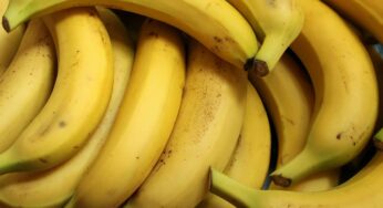 Le banane si possono congelare? Incredibile