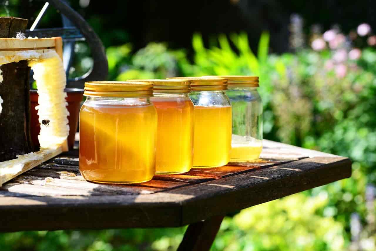 Cosa succede se mangi miele per evitare picchi glicemici