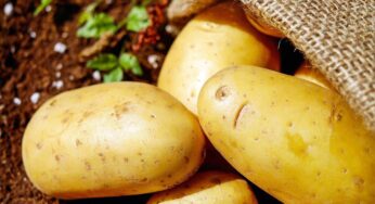 Come cucinare le patate per dimagrire e non ingrassare?