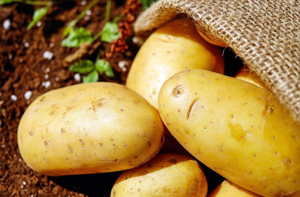 Glicemia alta: cosa mangiare patate fredde o carote cotte? Ecco i 4 modi per abbassarla in modo naturale