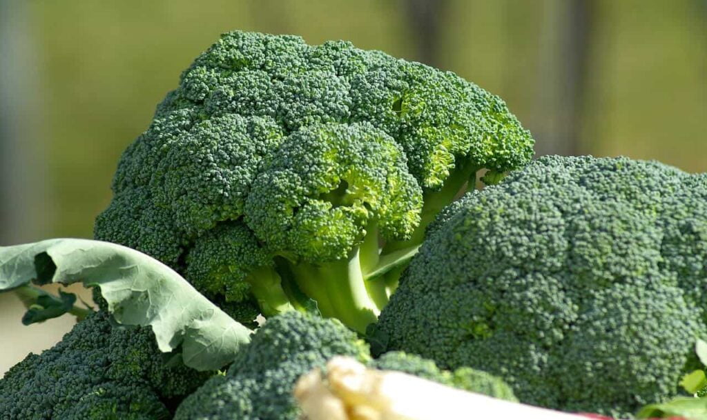 Cosa succede a chi mangia broccoli tutte le sere? Incredibile