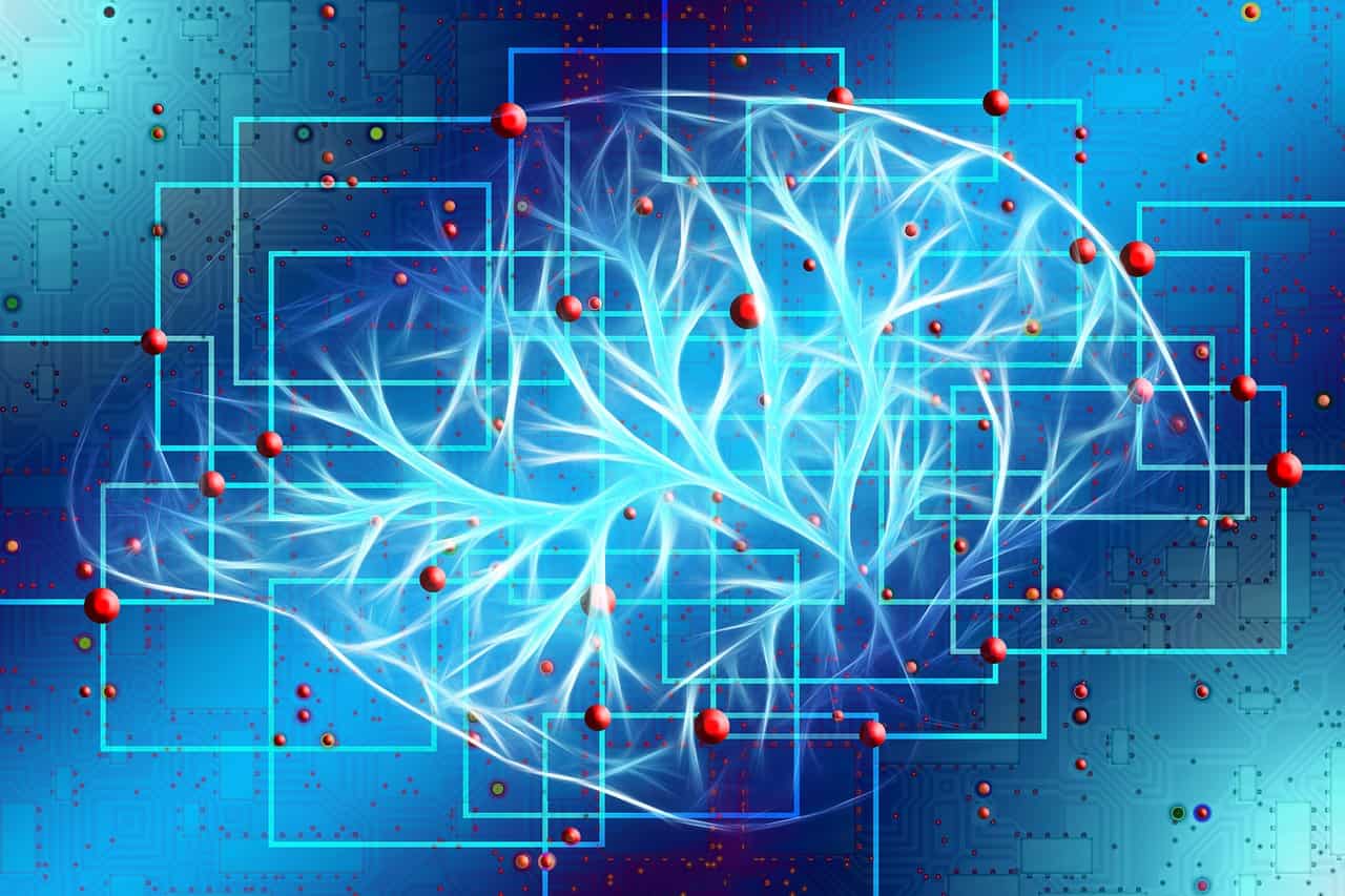 Ecco 8 alimenti per aumentare la potenza del tuo cervello e mantenere la tua mente sana