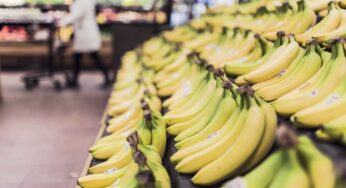 Ecco le calorie di una banana: scopri le informazioni nutrizionali complete e se puoi mangiarle se hai il diabete