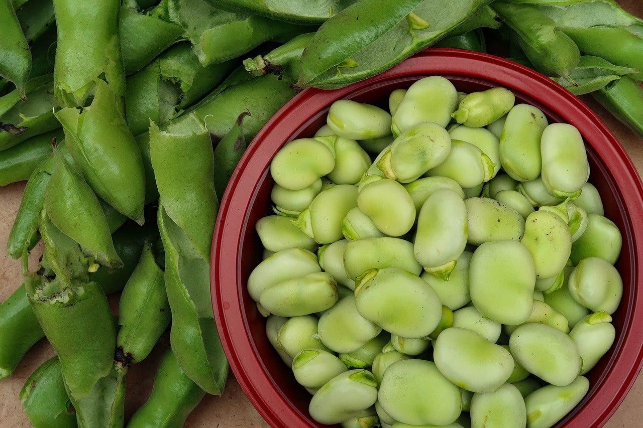 Come mangiare le fave per abbassare la glicemia? Ecco il trucchetto della nonna