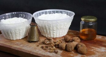 L’esperto ci dice quando mangiare la ricotta se sei a dieta. Incredibile