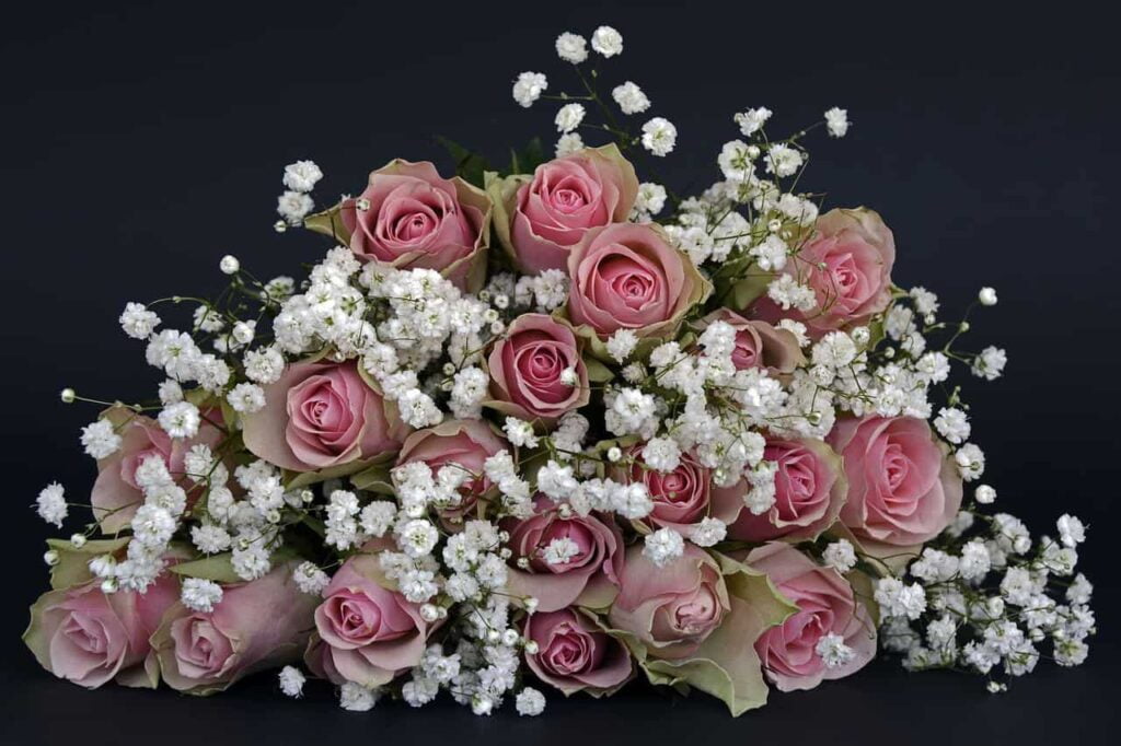 8 maggio, festa della mamma: i fiori e le piante più originali da regalarle e il loro significato