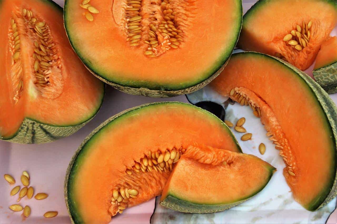 Mangiare melone tutti i giorni fa male? Ecco l’incredibile risposta