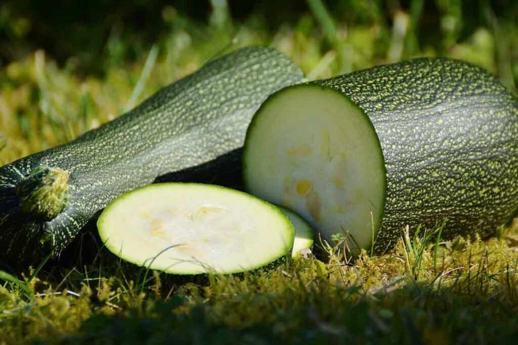Come mangiare la zucchina ed avere tutti i suoi benefici con poche calorie?