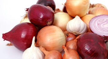 Cosa succede a chi mangia cipolla 30 minuti prima di dormire?