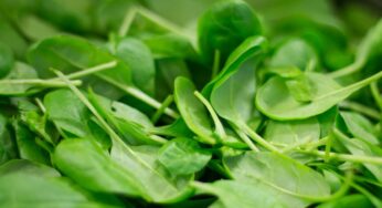 Cosa succede a chi mangia 100 grammi di spinaci con il limone tutte le sere?