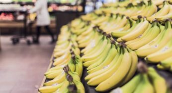 Come mangiare la banana per dimagrire e abbassare la glicemia? Incredibile