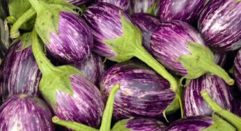Cosa succede a chi conserva la melanzana nel frigo? Ecco l’incredibile risposta