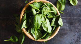 Attenzione al basilico crudo. Ecco perché non mangiarlo