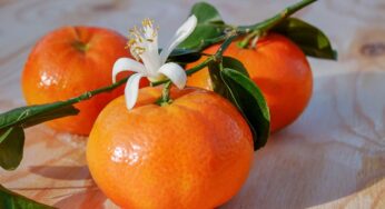 Cosa succede al nostro corpo se con l’ipertensione mangi le clementine? Incredibile