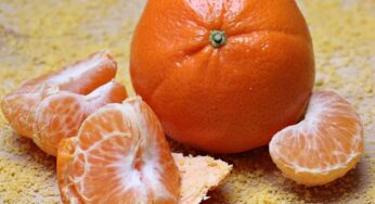 Cosa succede se mangi mandarini per dimagrire e abbassare la glicemia? Incredibile