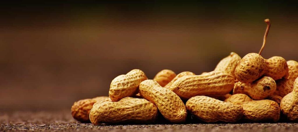Quante arachidi si possono mangiare al giorno? Ecco la risposta