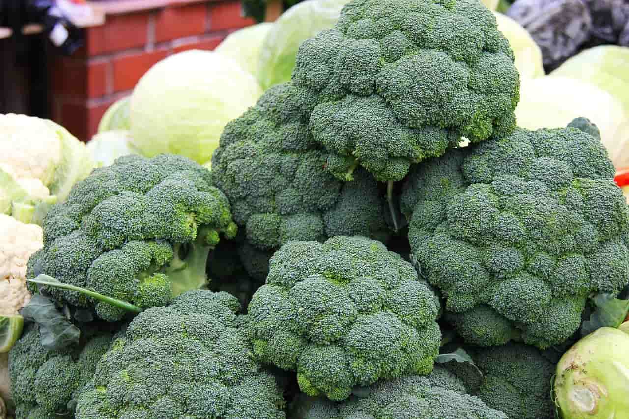 Cosa succede al corpo mangiando broccoli? Ecco la risposta