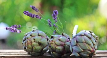 Mangiare un carciofo al giorno: ecco le conseguenze, attenzione