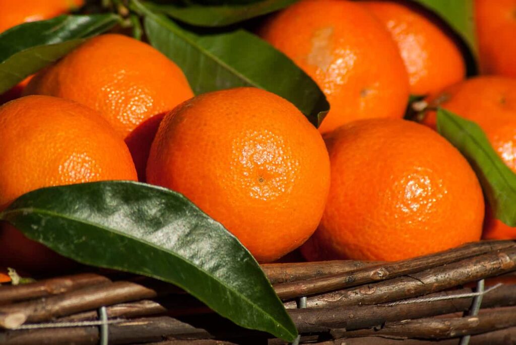 mandarini in una cesta