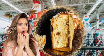 Fai attenzione al panettone che scegli: potresti trovare grilli e insetti nella tua dolce sorpresa! Scopri quale marca!