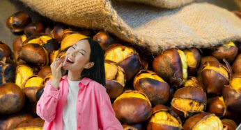 Castagne perfette? Scopri il metodo infallibile per gustarle al meglio!