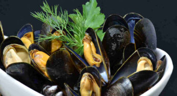 Scopri come scegliere le cozze fresche e irresistibili: la guida imperdibile per questo Natale!