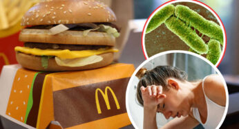 McDonald’s sotto la lente: Allerta Escherichia Coli con 49 casi e un tragico decesso! Scopri quale panino nasconde il batterio.