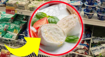 Scopri le due migliori mozzarelle nel tuo supermercato: Granarolo e Invernizzi in fondo alla classifica!