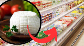 Scopri le migliori ricotte da portare in tavola: non tutte sono uguali!