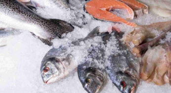 Scongelare il pesce in 15 minuti: il metodo più rapido e semplice che devi assolutamente provare!