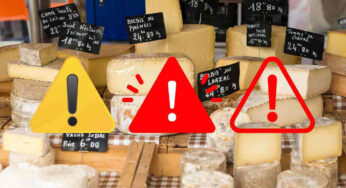 I formaggi più dannosi per la salute: scopri quali evitare e come gustarli in modo sicuro