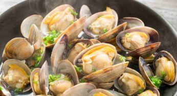 Sautè di vongole: il segreto napoletano per una vigilia di Natale indimenticabile!
