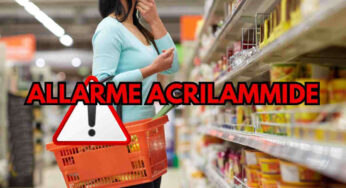 A Natale fai attenzione: l’allerta acrilammide nei cibi aumenta!