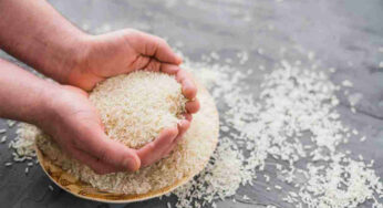Scopri come utilizzare il riso in cucina in modi sorprendenti e risparmiare tantissimo!