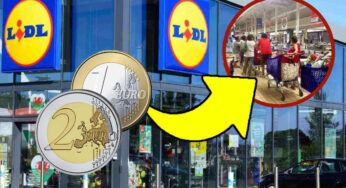 Un super affare da Lidl: ho preso entrambi a soli 3,29 euro grazie al consiglio del mio nutrizionista!